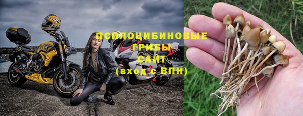 меф Белокуриха
