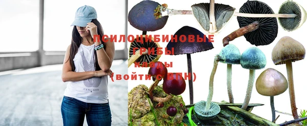 гидра Белоозёрский